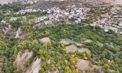 Diyarbakır’ın bu köyünde ne eksen onu biçiyorsun