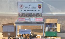 Doldurulmuş makaron ele geçirildi