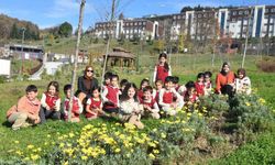 Düzce Üniversitesi botanik bahçesine miniklerden ziyaret