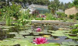 Ege Üniversitesinin endemik tür cenneti: Botanik Bahçesi