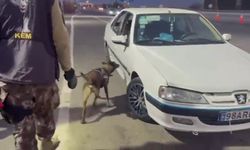 Erzurum’da araçta gizlenmiş uyuşturucuyu ’Magnum’ buldu