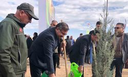 Eskişehir’de 11 Kasım Milli Ağaçlandırma Günü’nde 20 bin fidan dikildi
