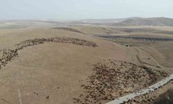 Göçerlerin zoru yolculuğu başladı