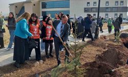 GSİM spor kampüslerine meyve ağacı dikti