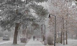 Güne sis ve kırağı ile uyandı