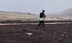 güzlük ekim yapılıyor