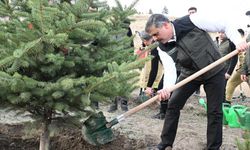 "Hastaya kan, ormana can"