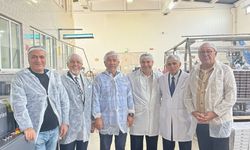 İş dünyasından kestane şekeri üretimine yakın takip