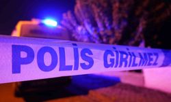 Kardeş kavgası kanlı bitti: Ağabeyini bıçaklayarak öldürdü