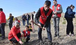 Kars’ta 5 bin 500 fidan toprakla buluştu