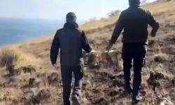 Keklikler yeniden doğayla buluştu