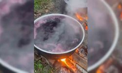 Kışlık pekmez mesaisi