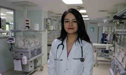 Küçük bedenleriyle büyük yaşam mücadelesi veriyorlar