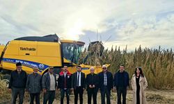 Kulu’da endüstriyel kenevirin hasadı başladı