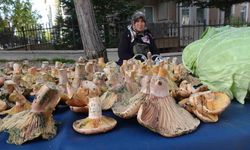 Kütahya’da ’Melki’ bereketi