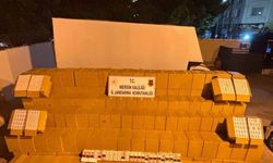 Makaron operasyonu: 2 gözaltı