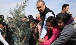 Malatya’da 733 bin fidan toprakla buluştu