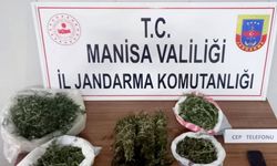 Manisa jandarmasından uyuşturucu operasyonu: 3 tutuklama