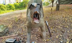 Milyonlarca lira harcanan Dinazor Park çürümeye terk edildi