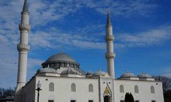 Muazzez Abacı’nın kızı Aslı Abacı: "Annem antibiyotik tedavisine ters reaksiyon verdi"