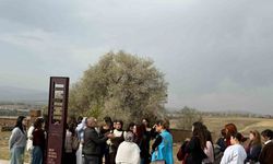 Muğlalı gençler medeniyet, tarih ve kültür kampı ile Bitlis ve Van’ı keşfetti