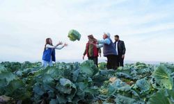 Muş Ovası’nda gönüllü gençlerden çiftçilere hasat desteği