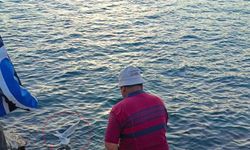 Oltaya bu kez balık yerine martı takıldı