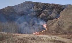 Oltu’da örtü yangını korkuttu