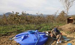 Ordu’da fındık bahçelerine kuraklık tehlikesine karşı damlama sistemi