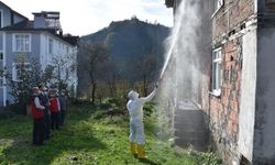 Ordu’da kokarcaya karşı 330 bin kışlak ilaçlanacak