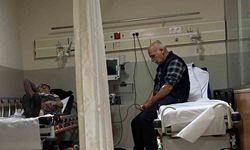 Orman mantarları yiyen 7 kişi hastanelik oldu