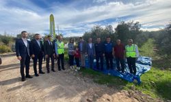 Osmaniye’de zeytin festivali