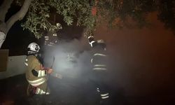 Park halindeki otomobil alevlere teslim oldu