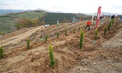 Samsun’da 11 Kasım Milli Ağaçlandırma Günü’nde 37 bin 380 fidan toprakla buluşacak