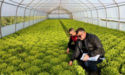 sera denetimleri gerçekleştirildi