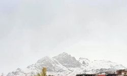 Şırnak’ta kar yağışı, Beytüşşebap beyaza büründü