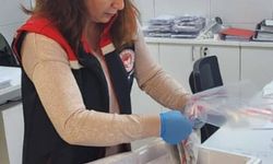 Söke’den ihraç edilecek balıklara analiz