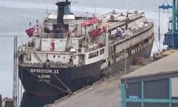 Susuzluktan boru yalayan inekler