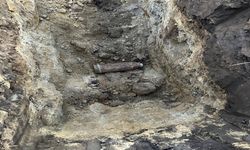 Tarlada bulunan top mermisi imha edildi