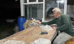 Tilki  bağ evine geliyor