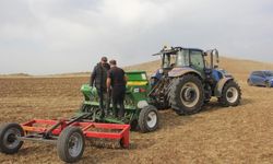 TMO’nun raporuna "gübre fiyatlarının yüksekliği" de girdi