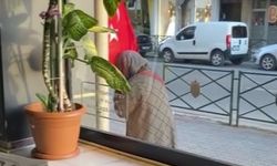 Türk bayrağını öpen teyzenin görüntüsü yürekleri ısıttı