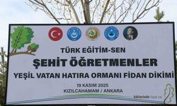 Türk Eğitim-Sen Genel Başkanı Geylan: "Maalesef her yıl on binlerce hektarımız yanıyor"