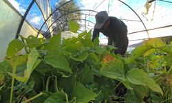 Ünlü şeflerin vazgeçilmez lezzeti: İspir Fasulyesi dünyayı fethediyor