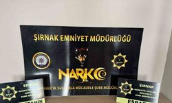 Uyuşturucu operasyonu: 9 gözaltı