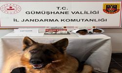 Uyuşturucu operasyonunda 4 kişi yakalandı