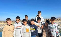 Van Gölü’nde yazın sararan saçlar kışın eski rengine döndü