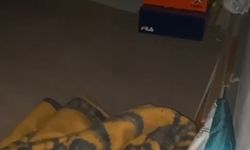 Van’da 12,5 yıl kesinleşmiş hapis cezası bulunan müdür gizli bölmede yakalandı