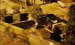 Zonguldak’ta mezarlıkta iki ayı yavrusu görüldü