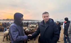 İL MÜDÜRÜ TİNGİŞ CANLI HAYVAN PAZARINDA DENETİM GERÇEKLEŞTİRDİ